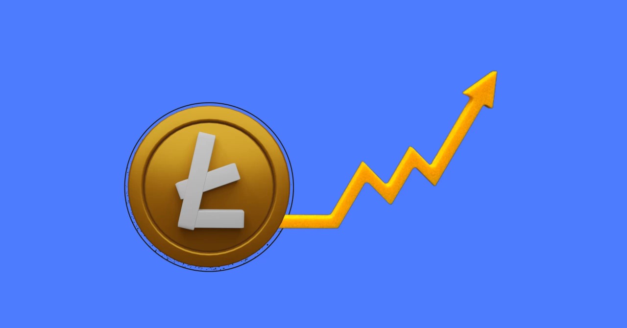 Litecoin's Place