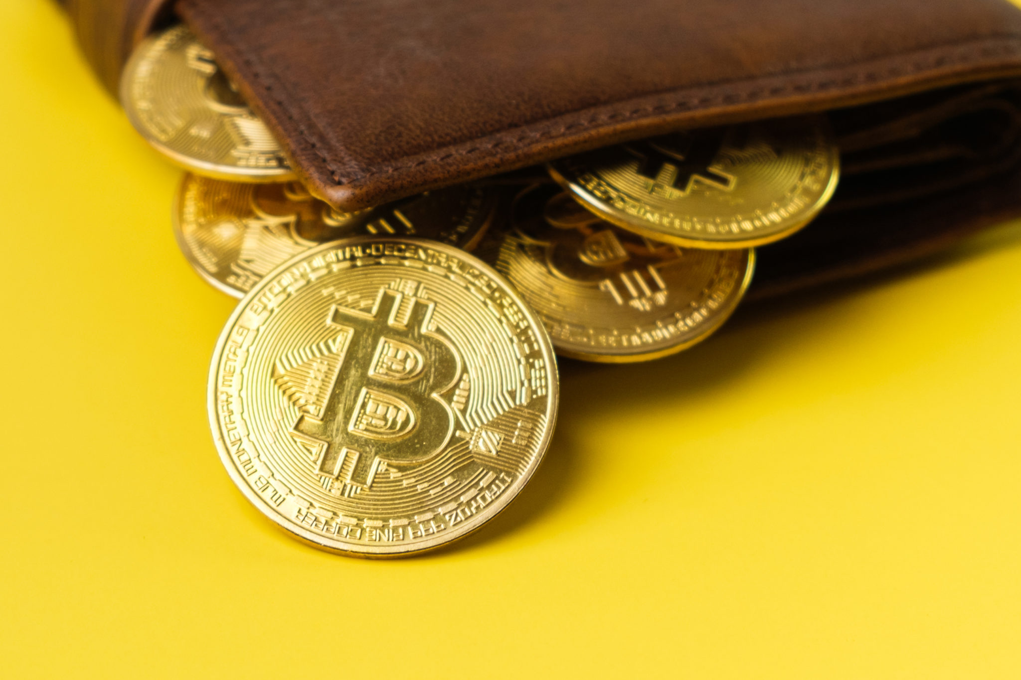 Bitcoin coins in the wallet on the yellow background.