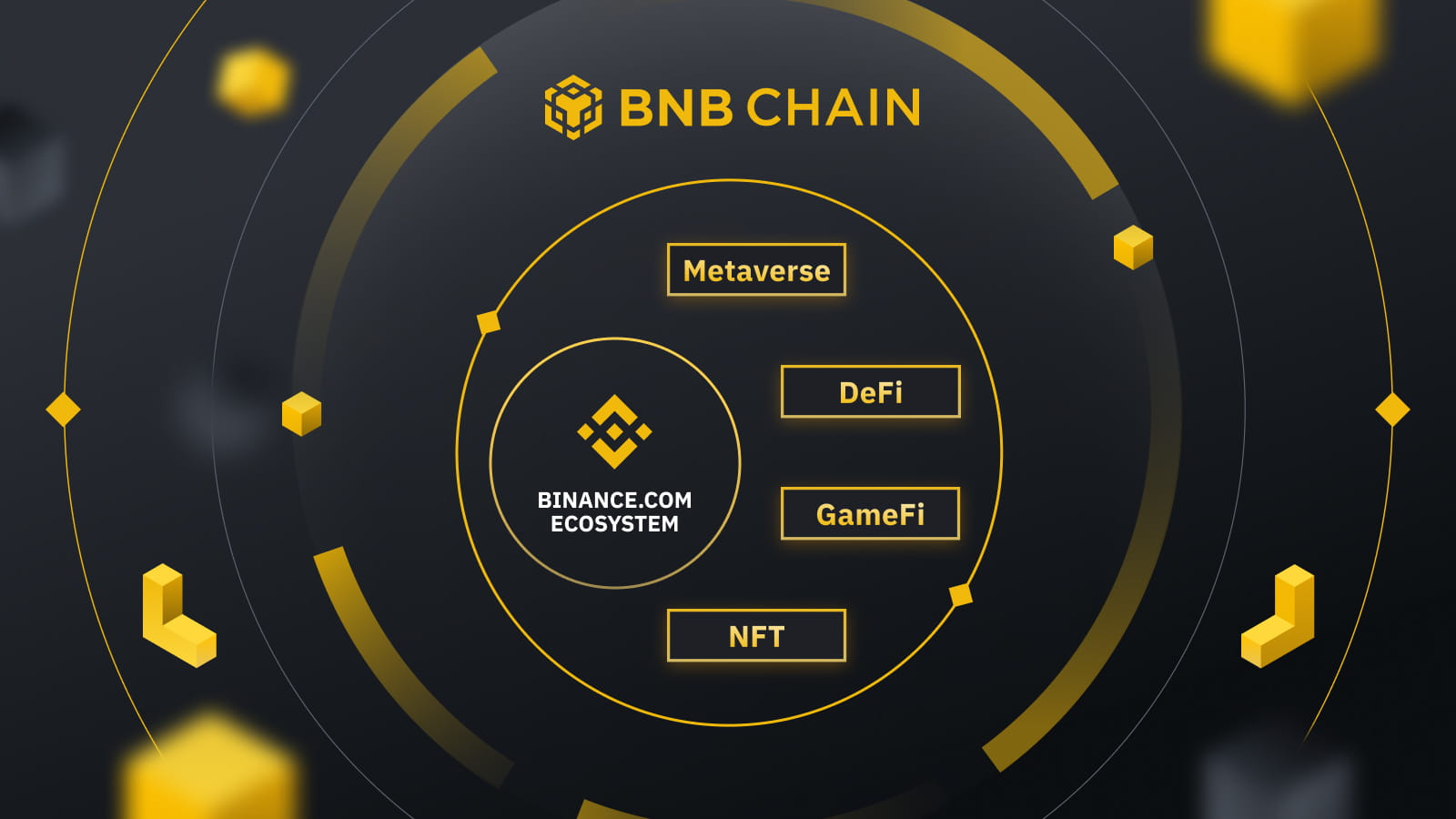 Effects for the Ecosystem of the BNB Chain