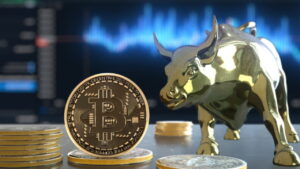 Bitcoin Bull Markets Opportunities Risks and Investor Caution