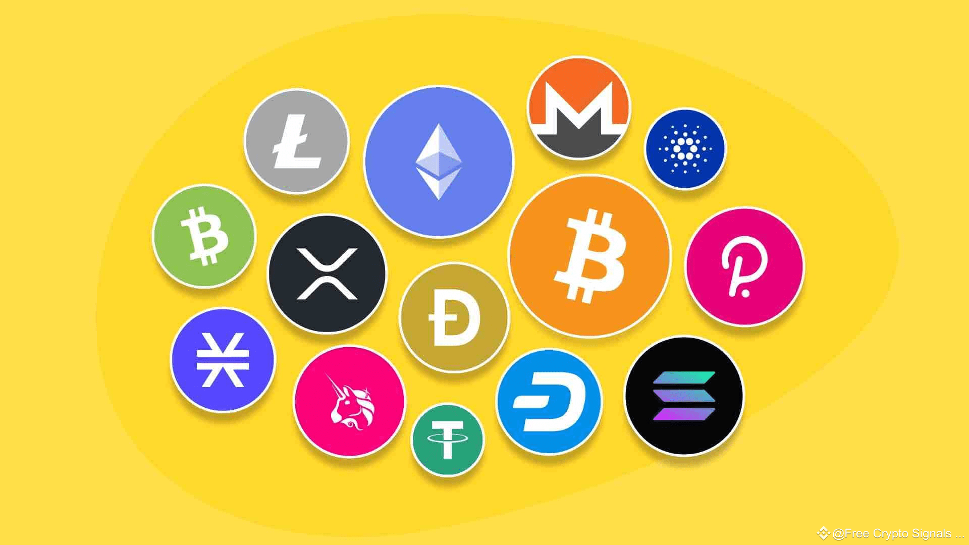 Altcoins Experience Greater Risk-Off Shift Steeper Losses