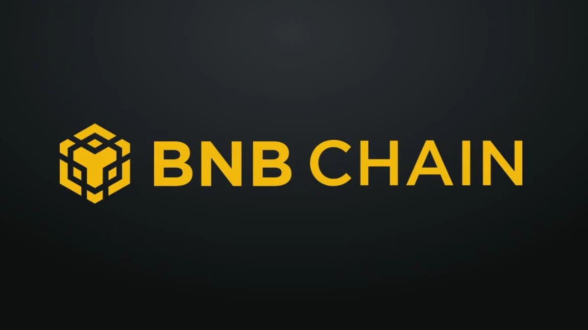 BNB Chain Continues to Rule in Transaction Count
