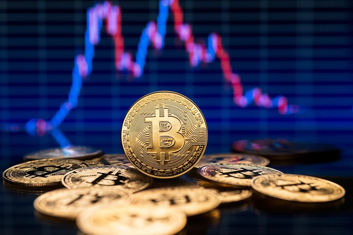 The Market Dynamics and Price Fluctuations of Bitcoin