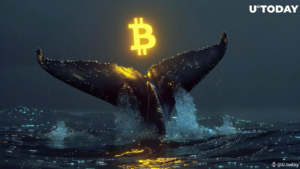 U.S. Whales Spark Bitcoin Selloff