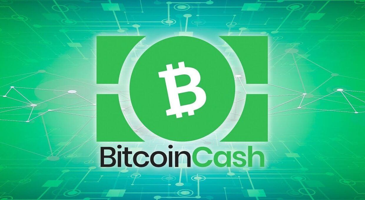 Bitcoin Cash (BCH) and SUI: Tactical Options in a Diverse Portfolio