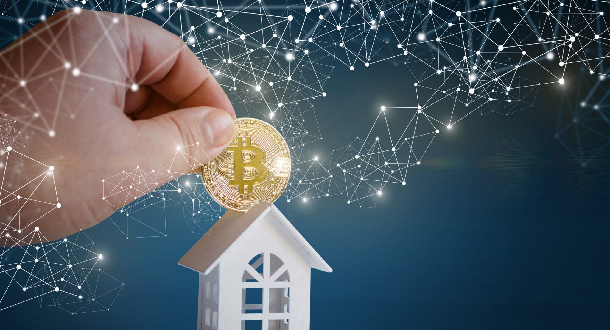 Investment Strategies for Blockchain Platforms