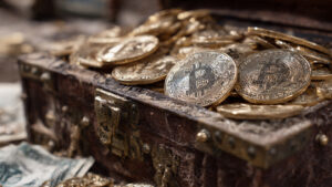 Bitcoin Treasury Purchases