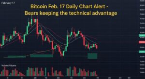 Bitcoin Feb